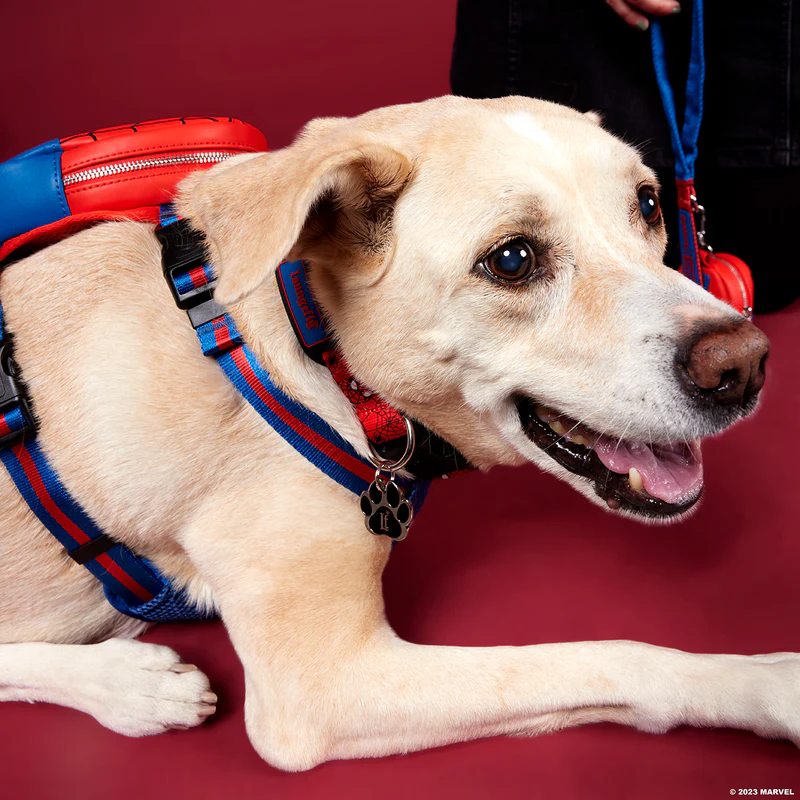 SPIDER-MAN DOG COLLAR - MARVEL