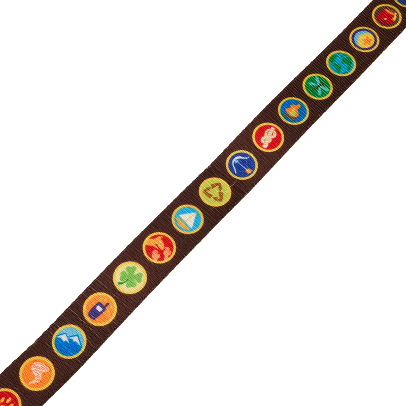 WILDERNESS BADGES LEAD - UP 15TH ANNIVERSARY