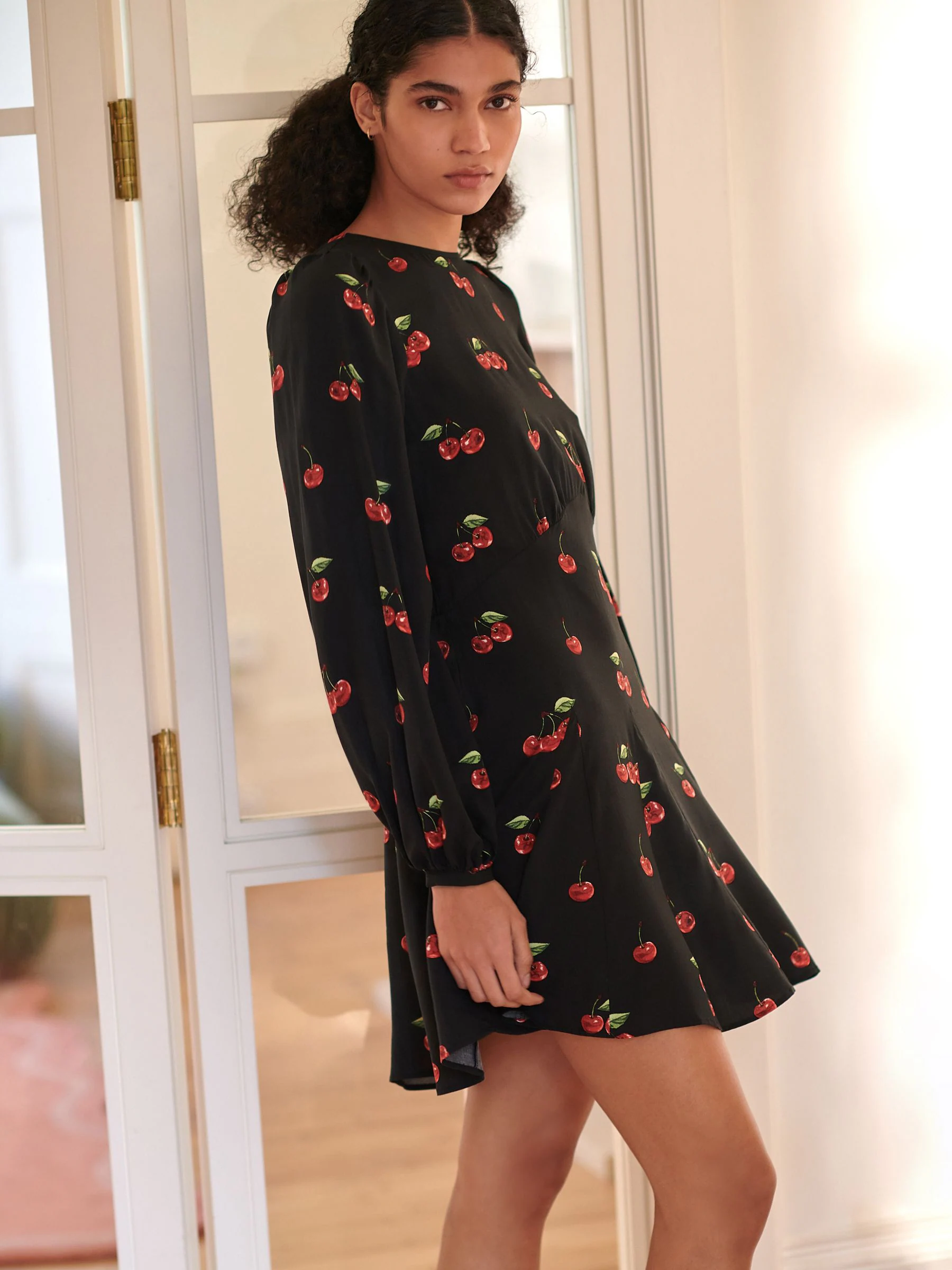 Black Cherry Print Mini Long Sleeve A-Line Seam Detail Dress