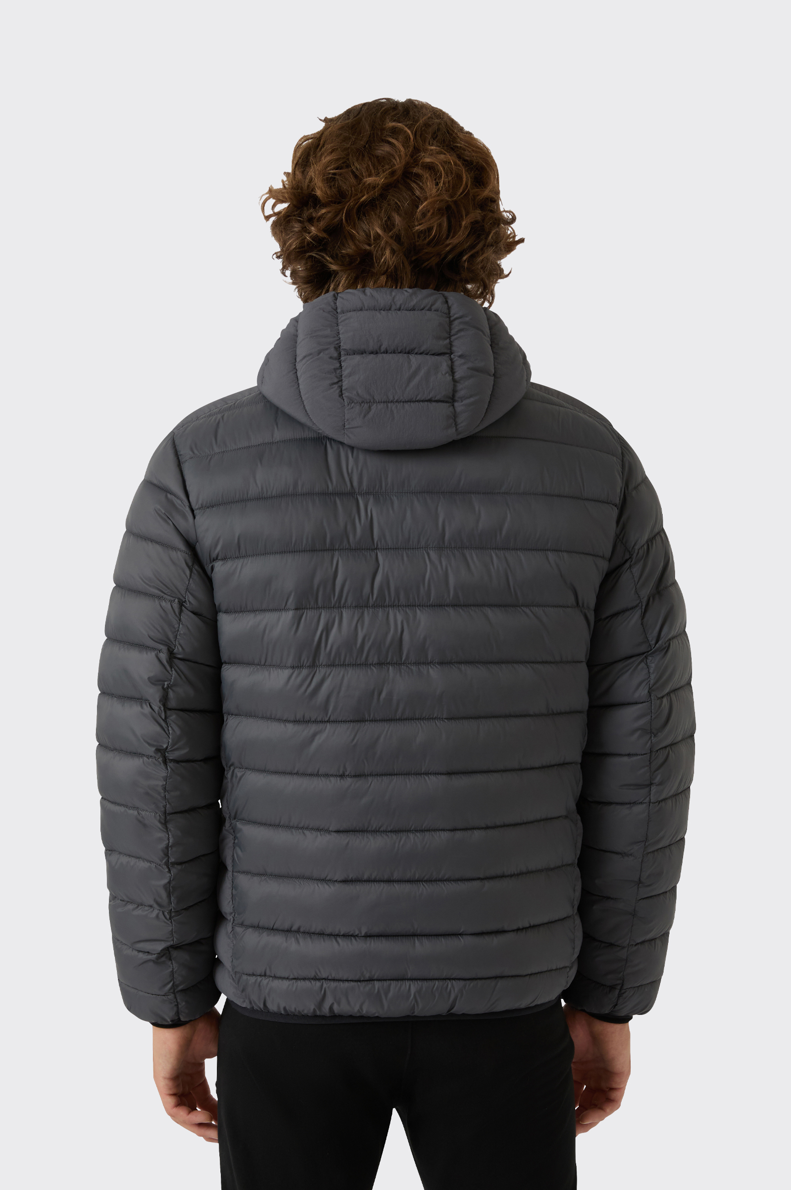 Cazadora Casual Champion Legacy Hombre