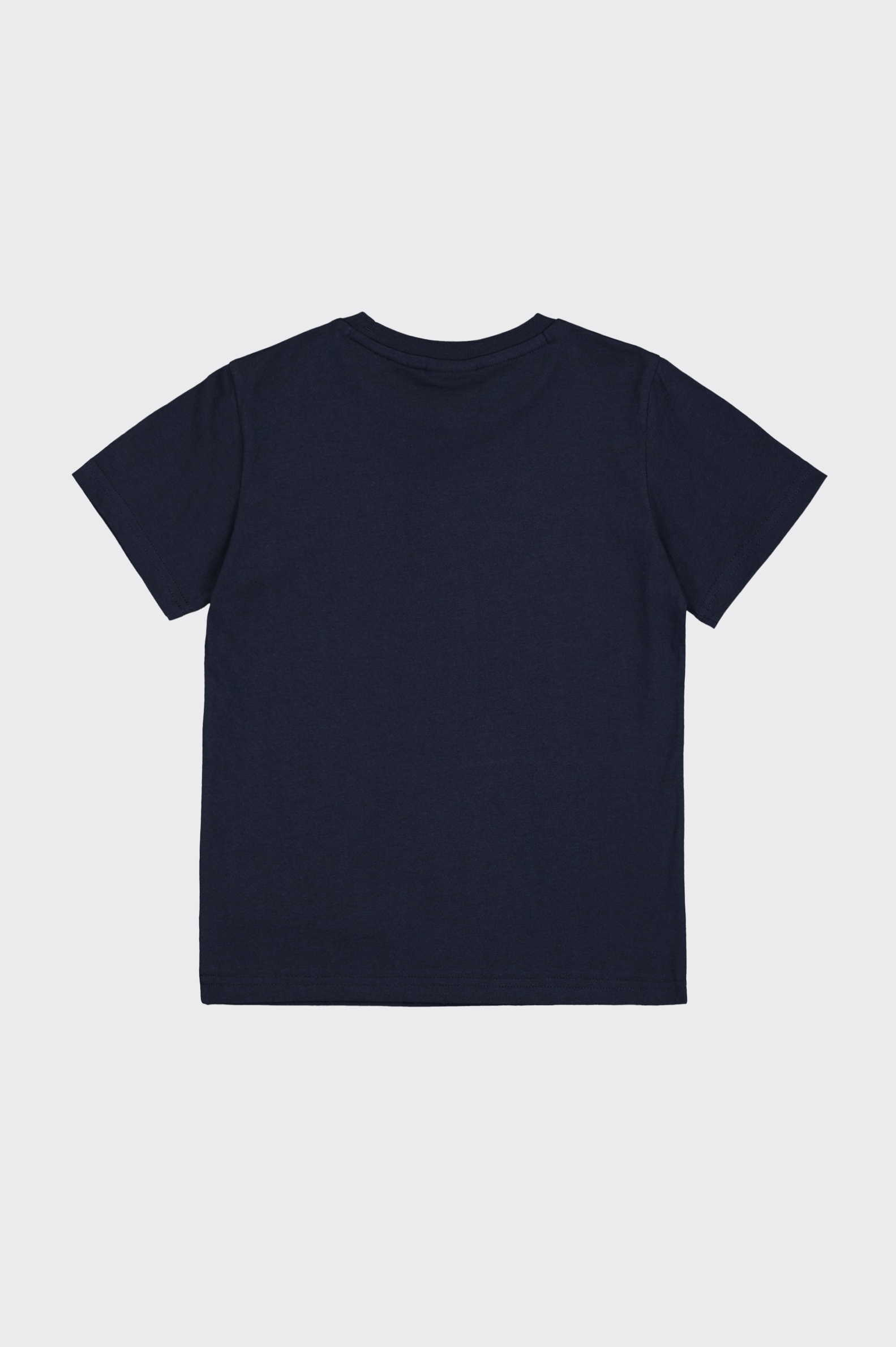 Camiseta Casual Champion Legacy Hombre