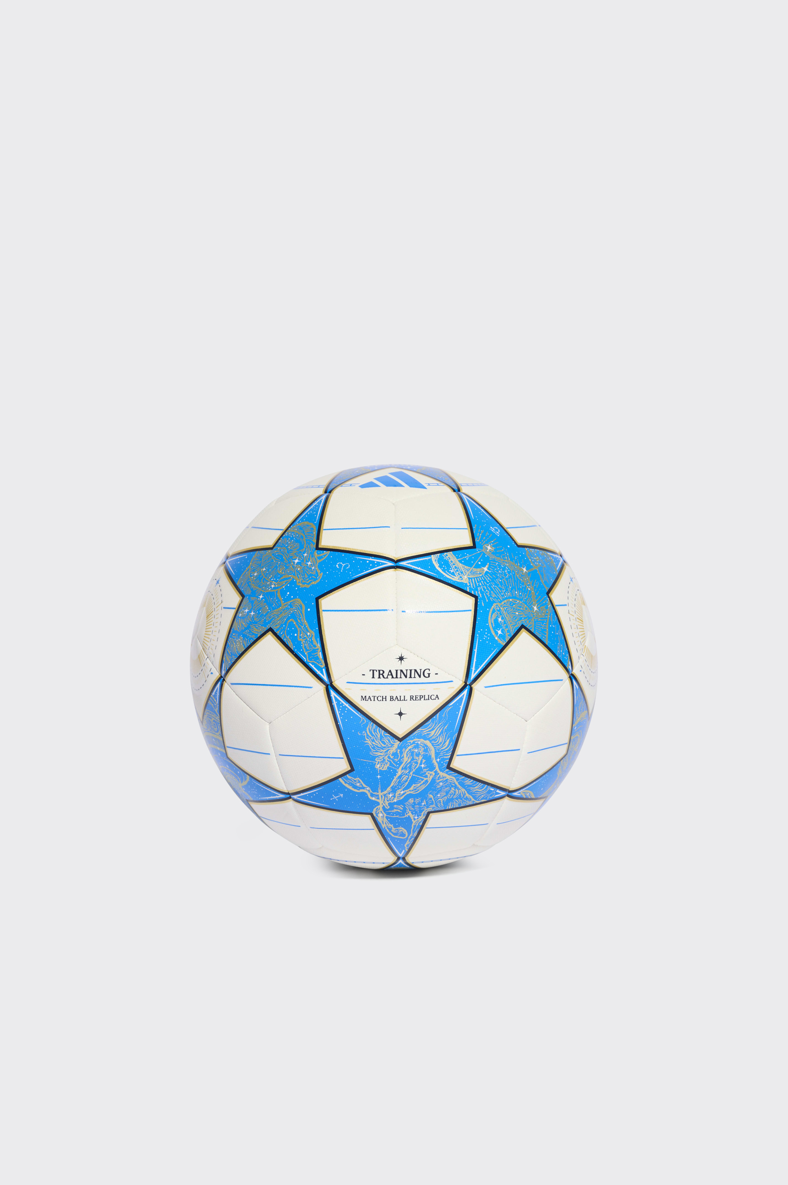 Balón Fútbol adidas Uefa Champions League Training 25/26