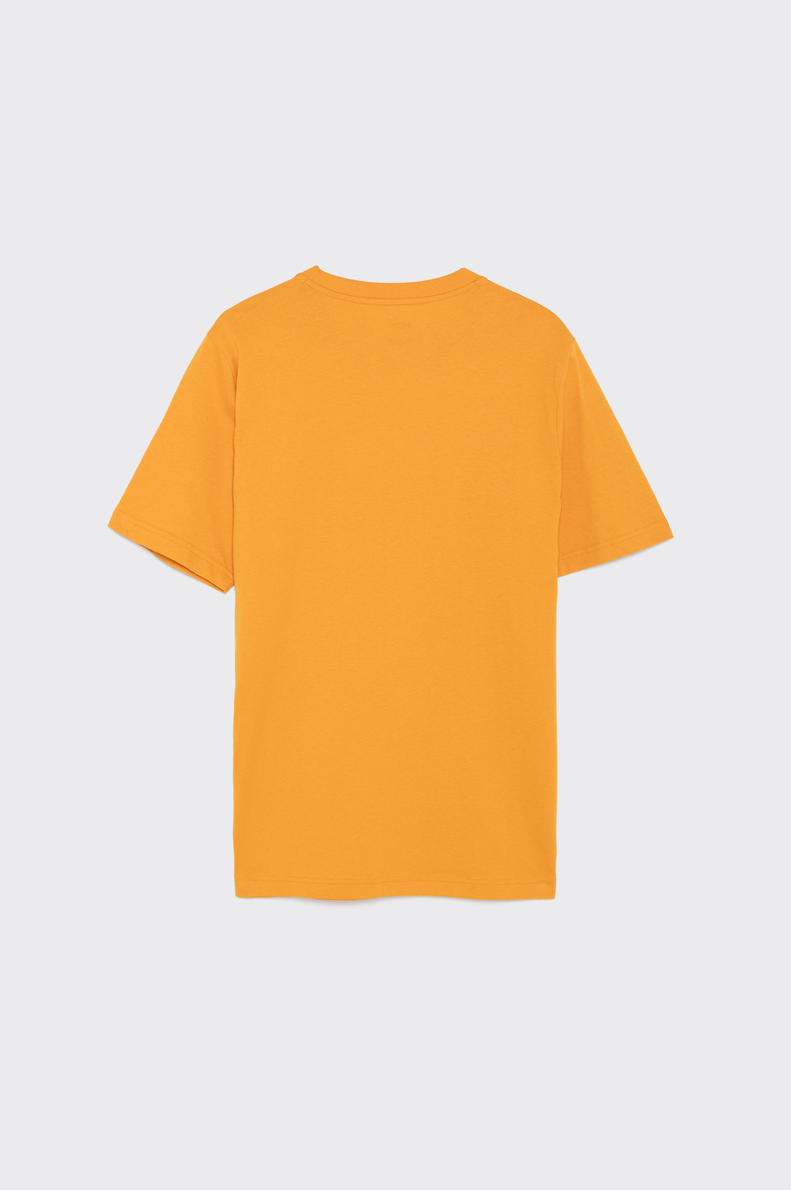 Camiseta Puma Graphics Sneaker Hombre