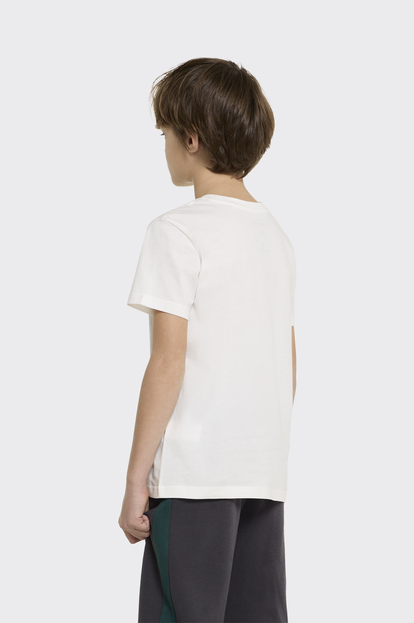 Camiseta Goku Tenth Dragon Ball