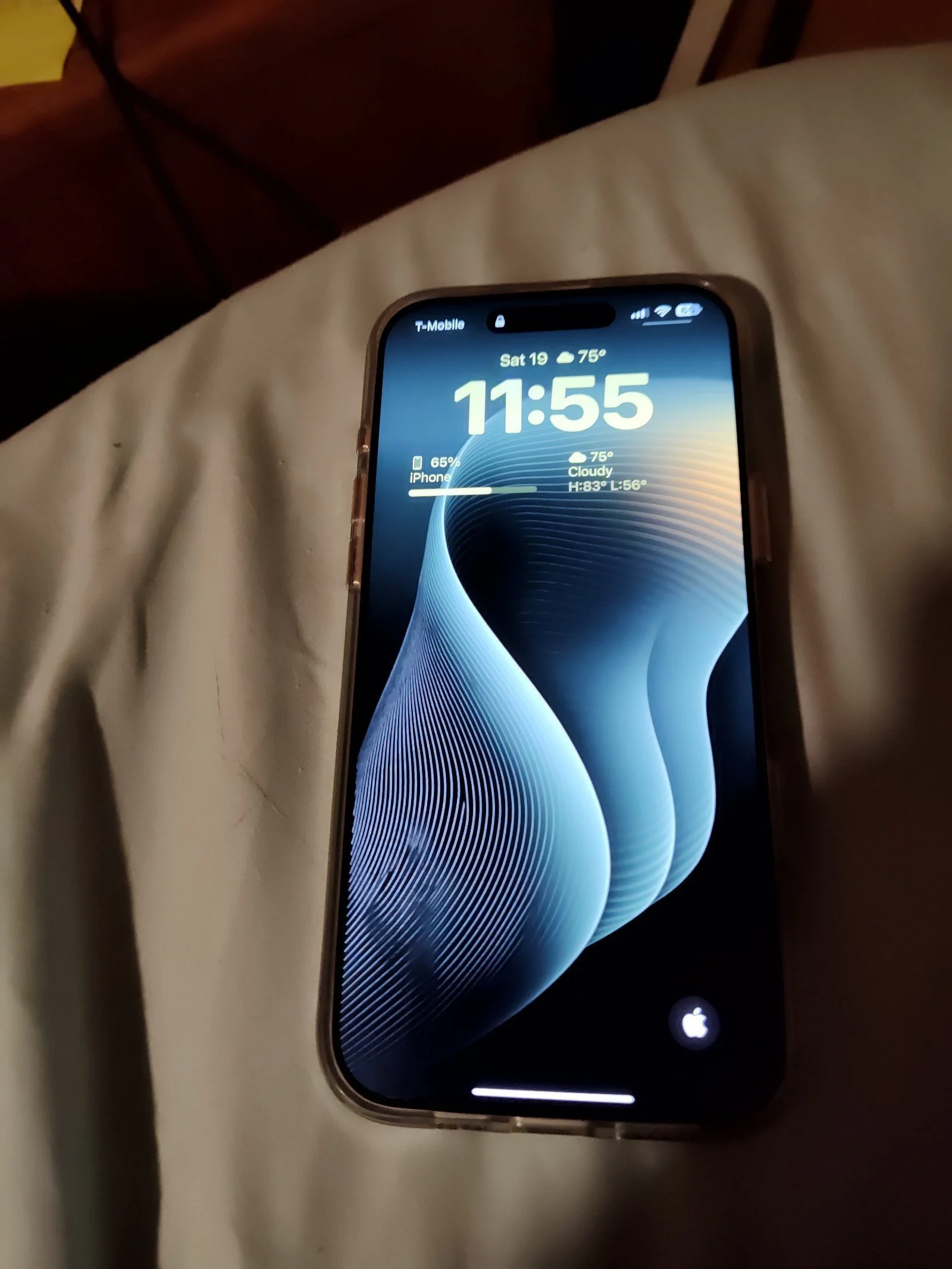 Apple iPhone pro max 16 256gb like new