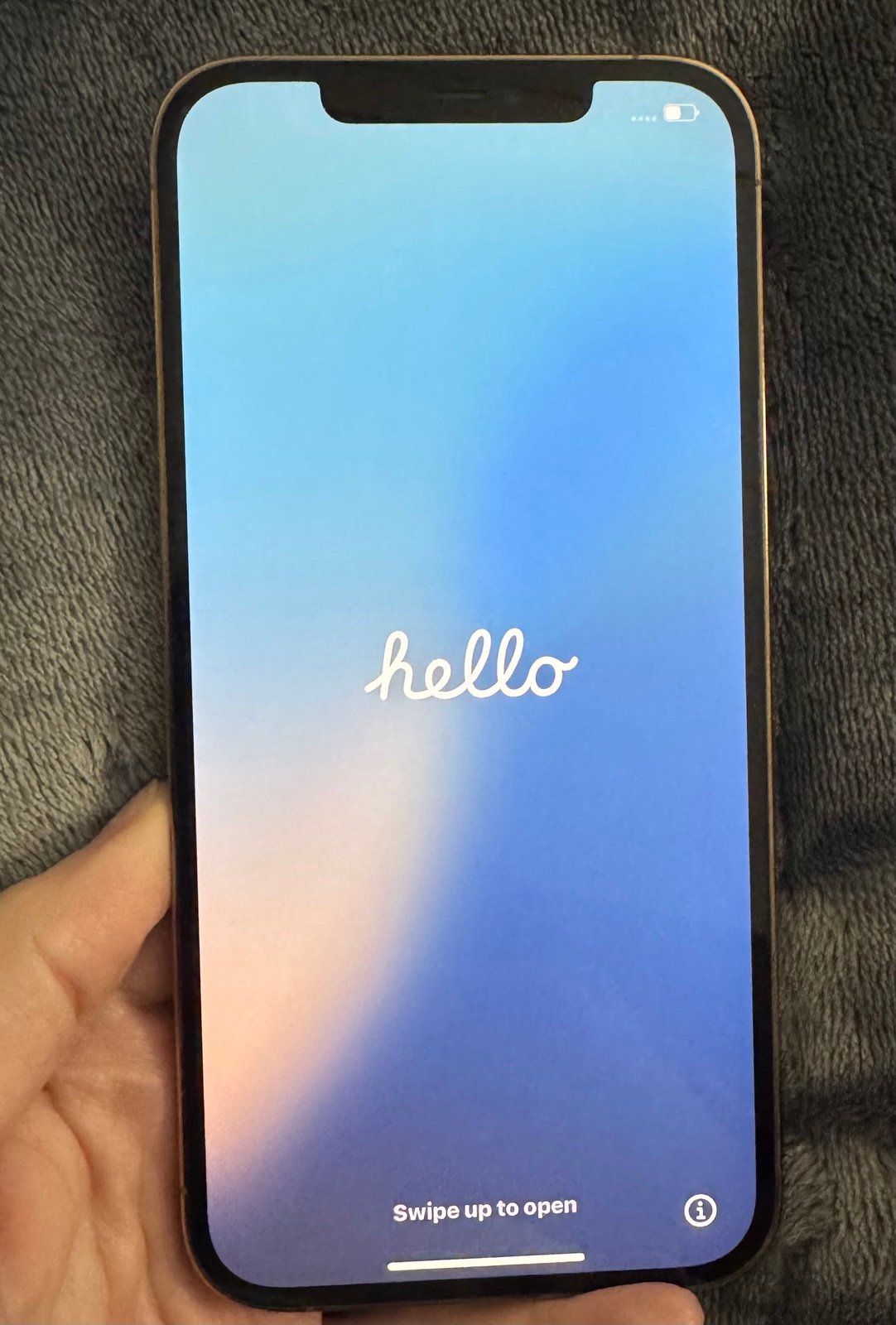 Apple iPhone 12 Pro Max 2L17