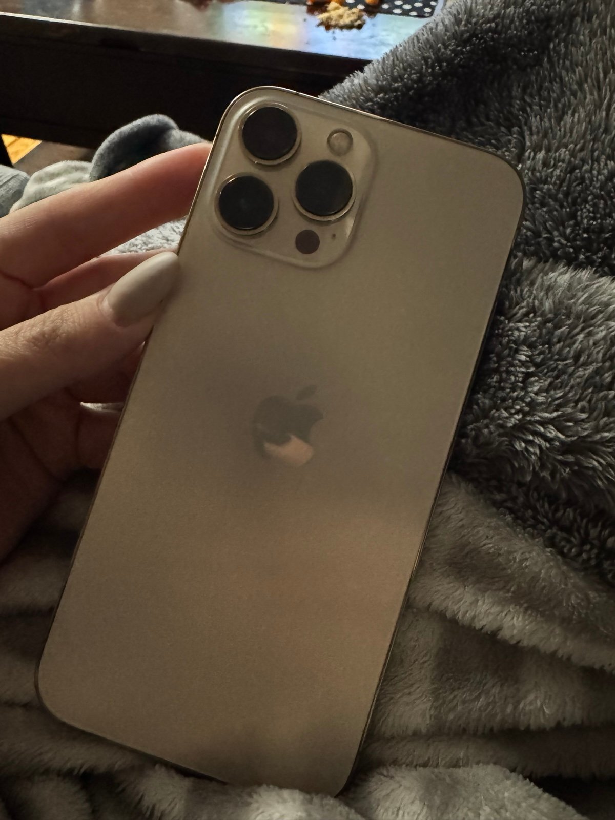 UNLOCKED iPhone 13 Pro Max 8L99