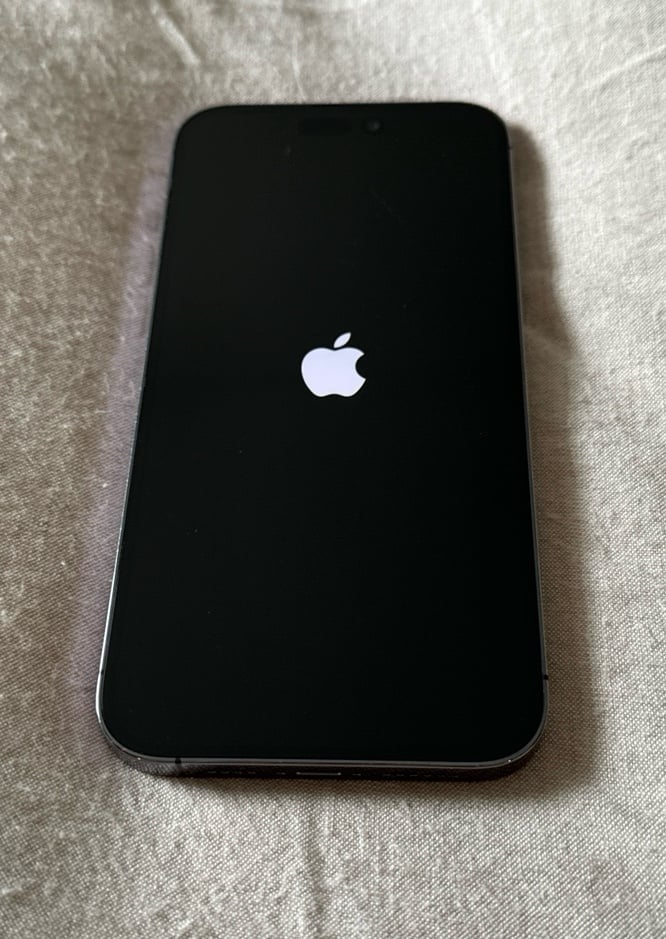 iphone14 pro max phone unlocked 5N21