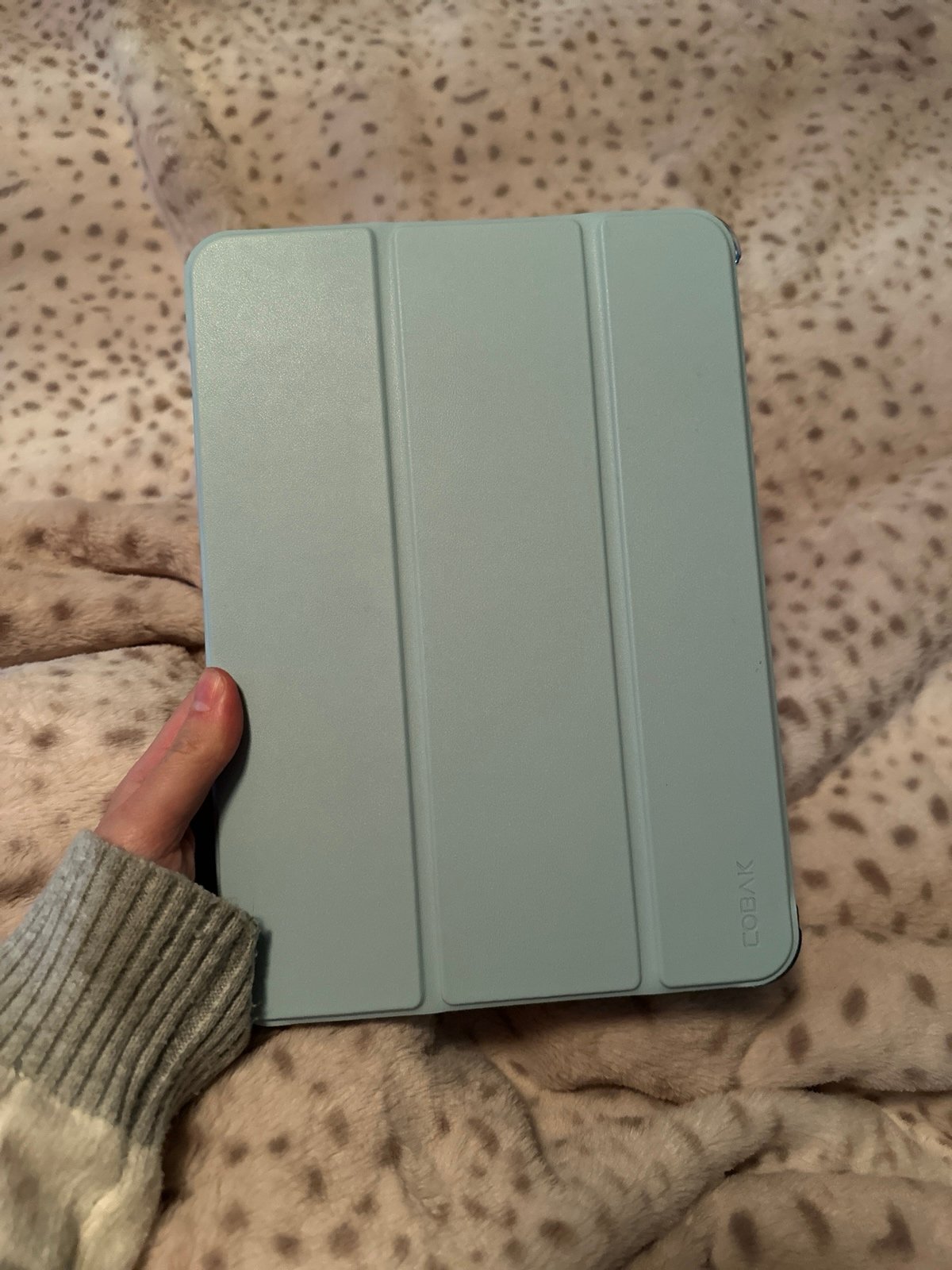 ipad pro 11 inch m4 3G75