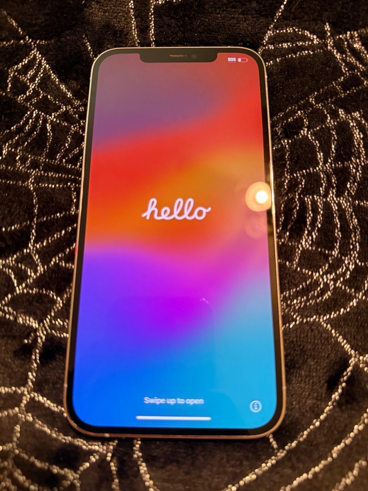 iPhone 12 Pro Max Silver Unlocked 128 GB 1J87