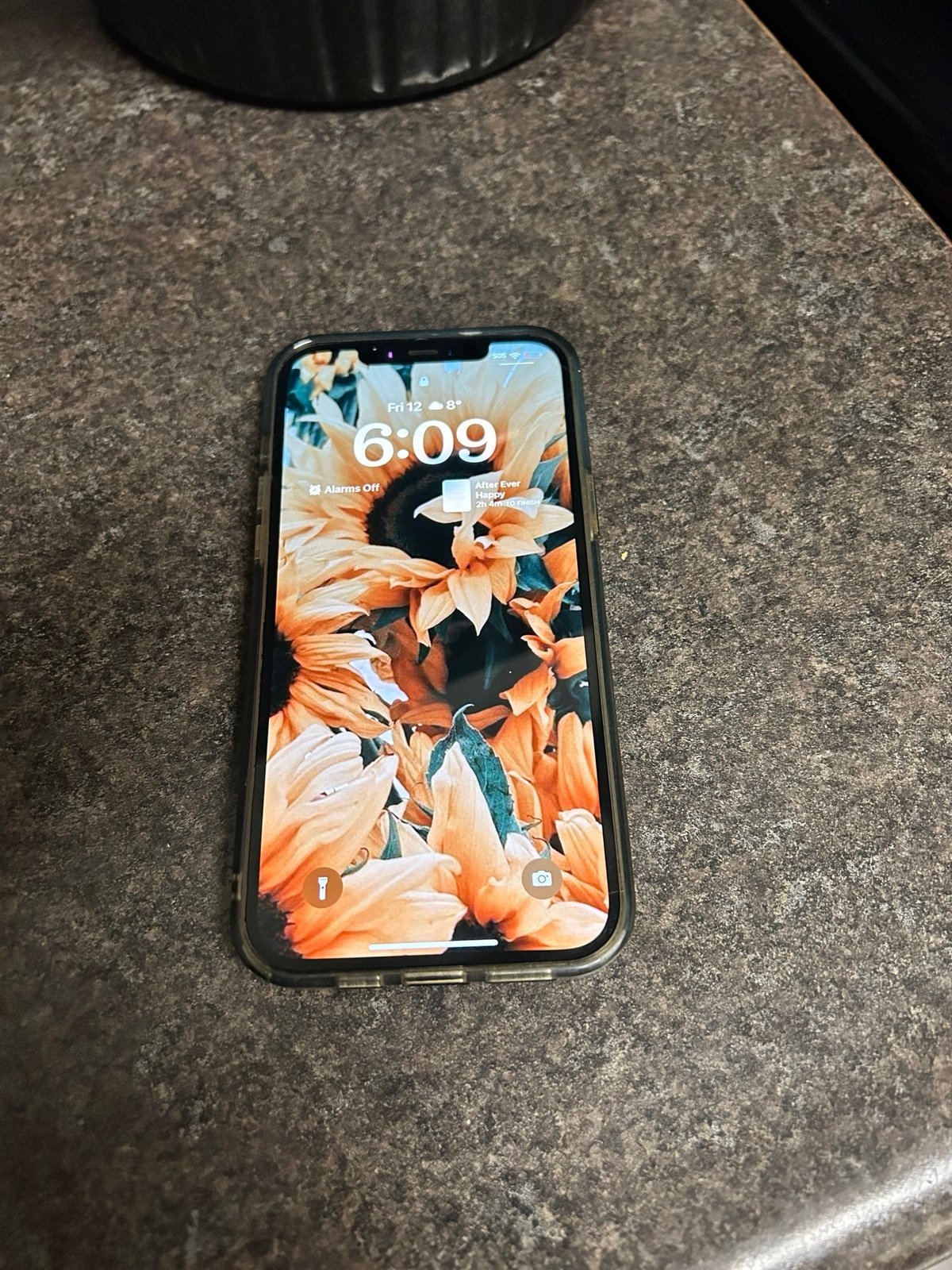 iPhone 12 Pro Max Tmobile 2Z77