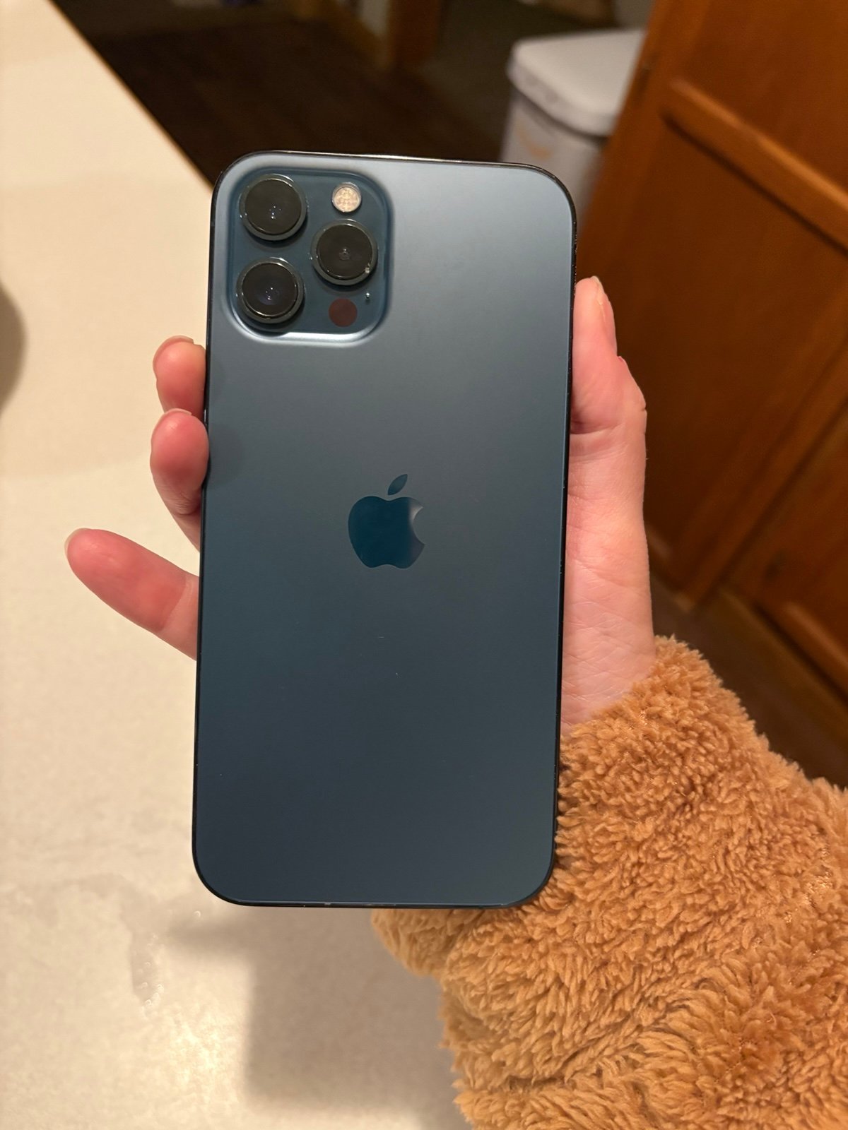 iPhone 12 Pro Max 6B61