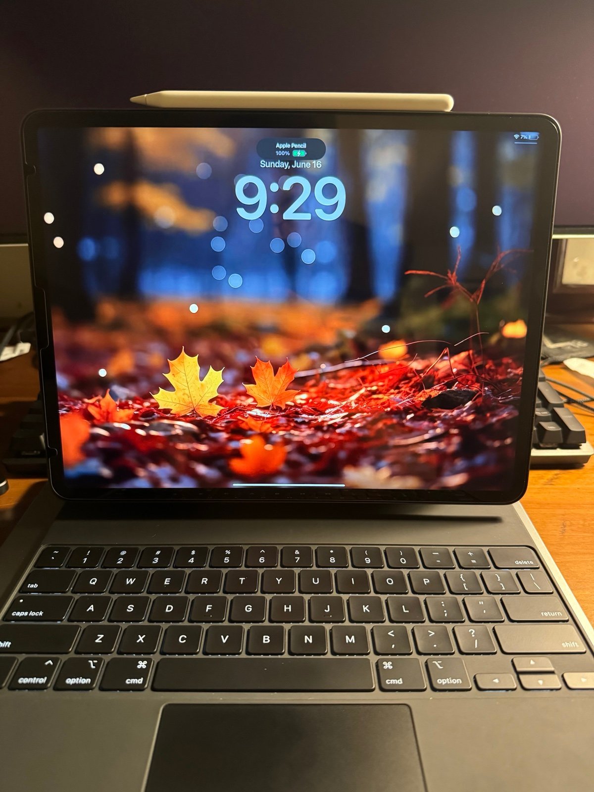 Apple iPad Pro 4th Generation - 128 GB 3R76