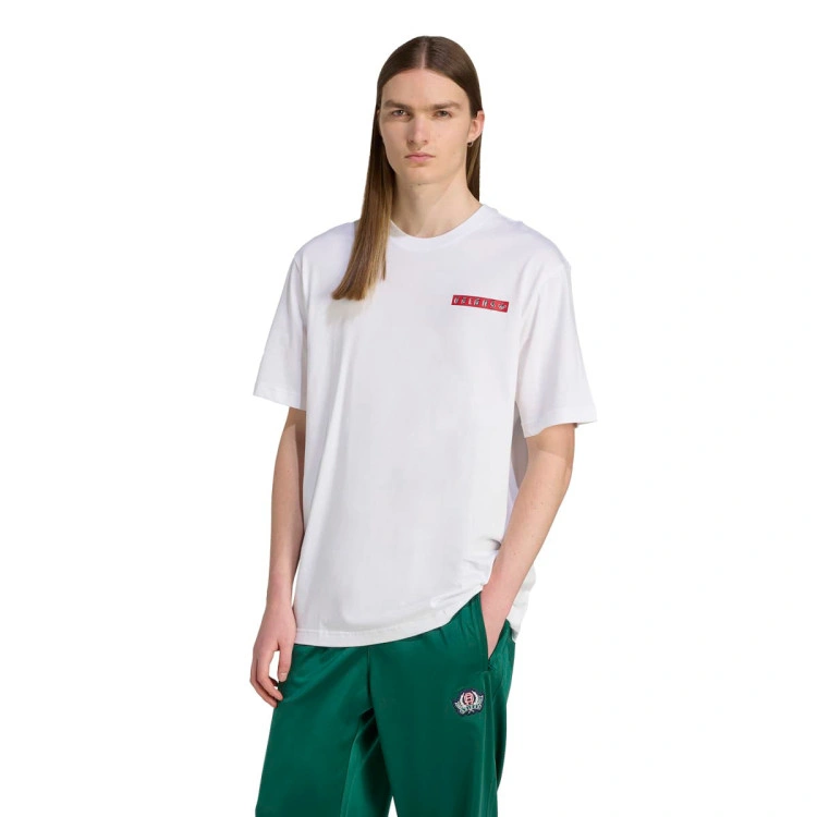 Camiseta adidas Graphic Tee