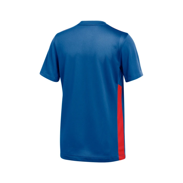 Camiseta Nike Park Derby IV m/c Niño