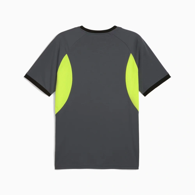 Camiseta Puma Individualliga Graphic Jersey