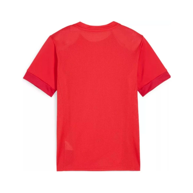 Camiseta Puma teamGOAL Niño