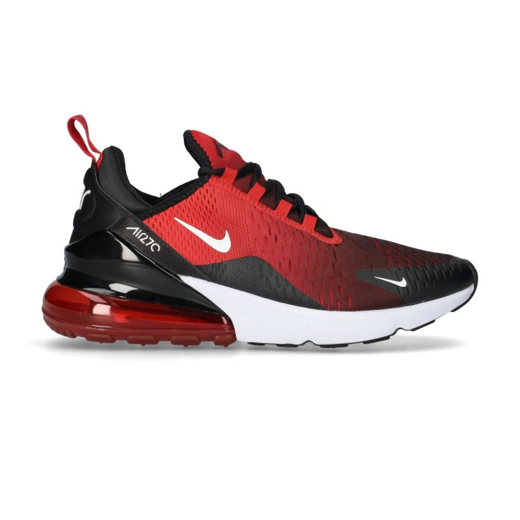 Zapatilla Nike Air Max 270