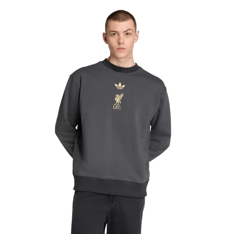 Sudadera adidas Liverpool Fc Lifestyler Fanswear 2025-2026