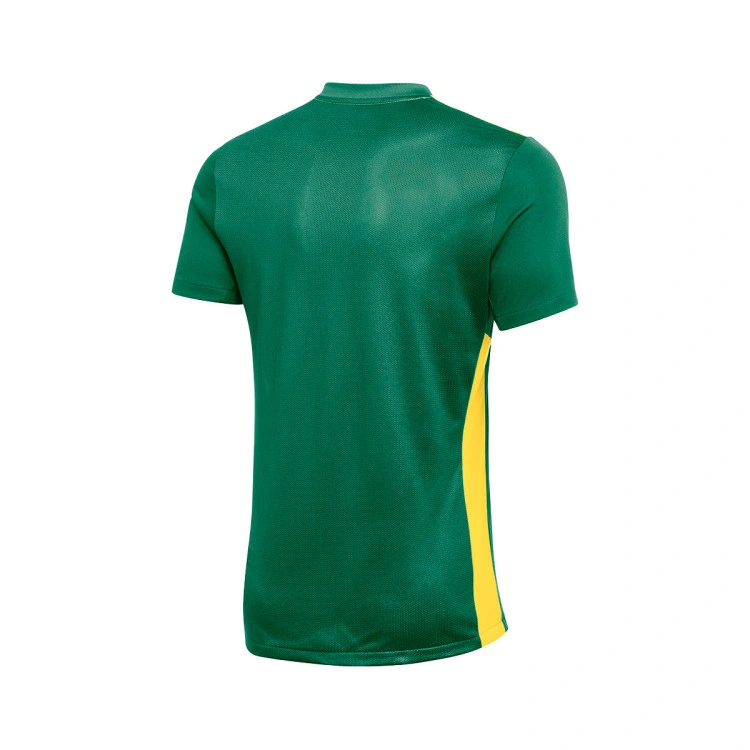 Camiseta Nike Park Derby IV m/c