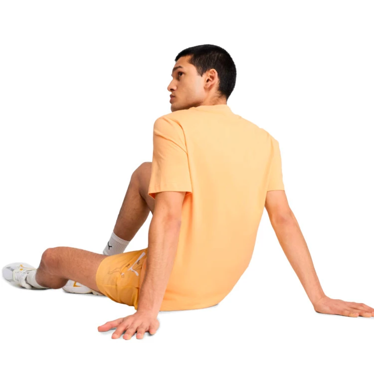 Camiseta Puma Essentials Small No. 1 Logo