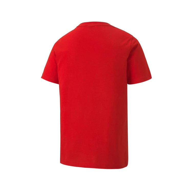 Camiseta Puma teamGOAL Cotton Niño