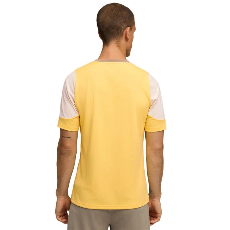 Camiseta Puma AC Milan Training 2025-2026