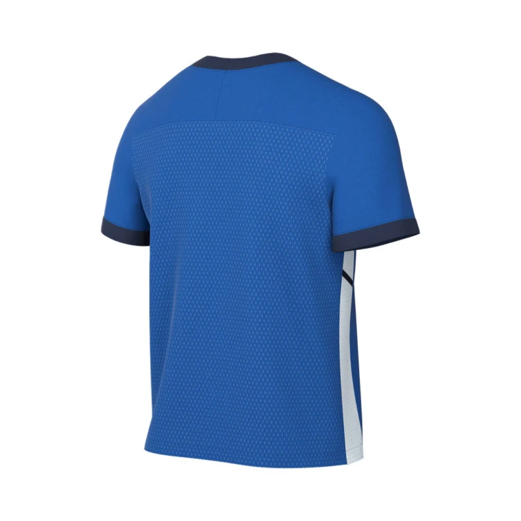 Camiseta Nike Academy 25