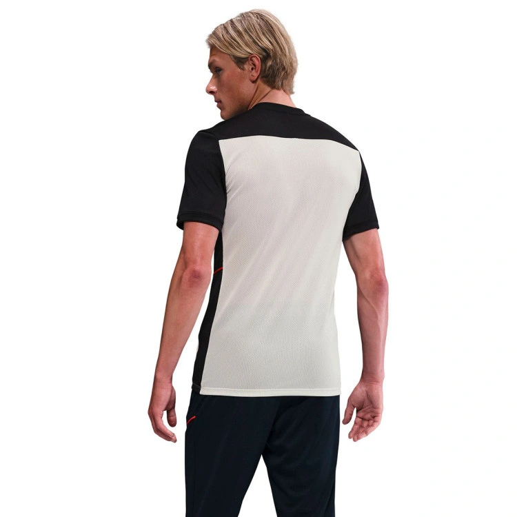 Camiseta Nike Academy 25