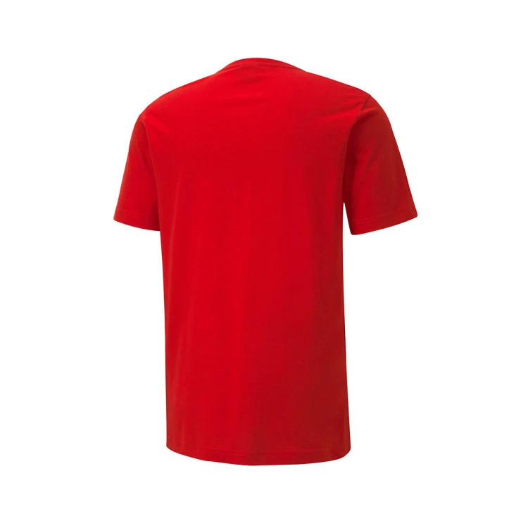 Camiseta Puma teamGOAL Cotton