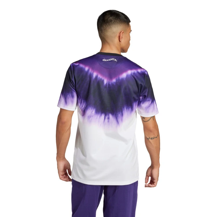 Camiseta adidas Real Madrid Fanswear 2024-2025