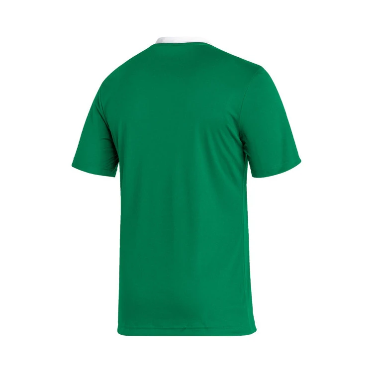 Camiseta adidas Entrada 22 m/c