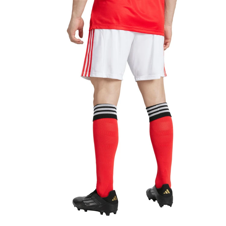Pantalón corto adidas SLB Benfica Primera Equipación 2025-2026