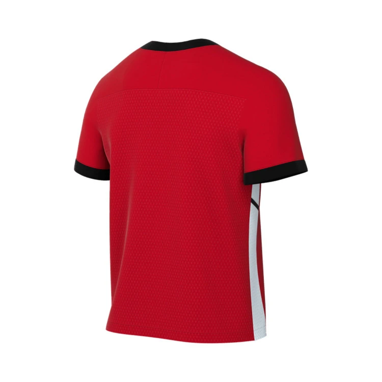 Camiseta Nike Academy 25