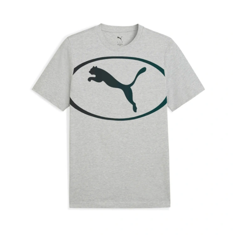Camiseta Puma Sport Graphic