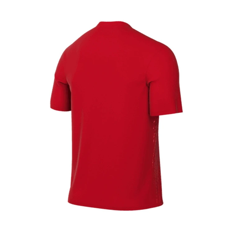 Camiseta Nike Precision VI m/c