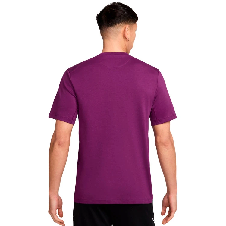 Camiseta Nike FC Barcelona Fanswear 2025-2026