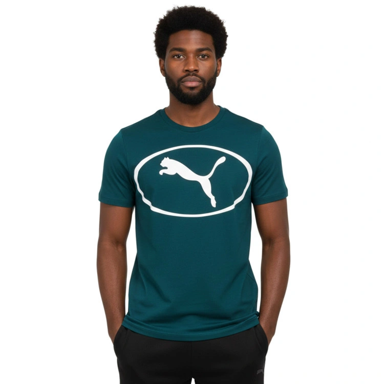 Camiseta Puma Sport Graphic