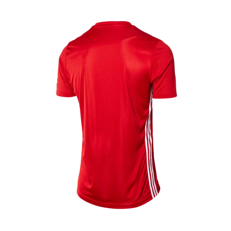 Camiseta adidas Club Gimnàstic de Tarragona Training 2023-2024 Niño