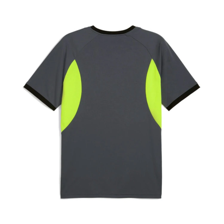 Camiseta Puma Individualliga Graphic Jersey Jr