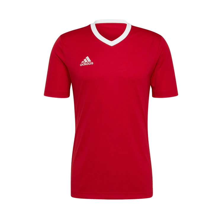 Camiseta adidas Entrada 22 m/c