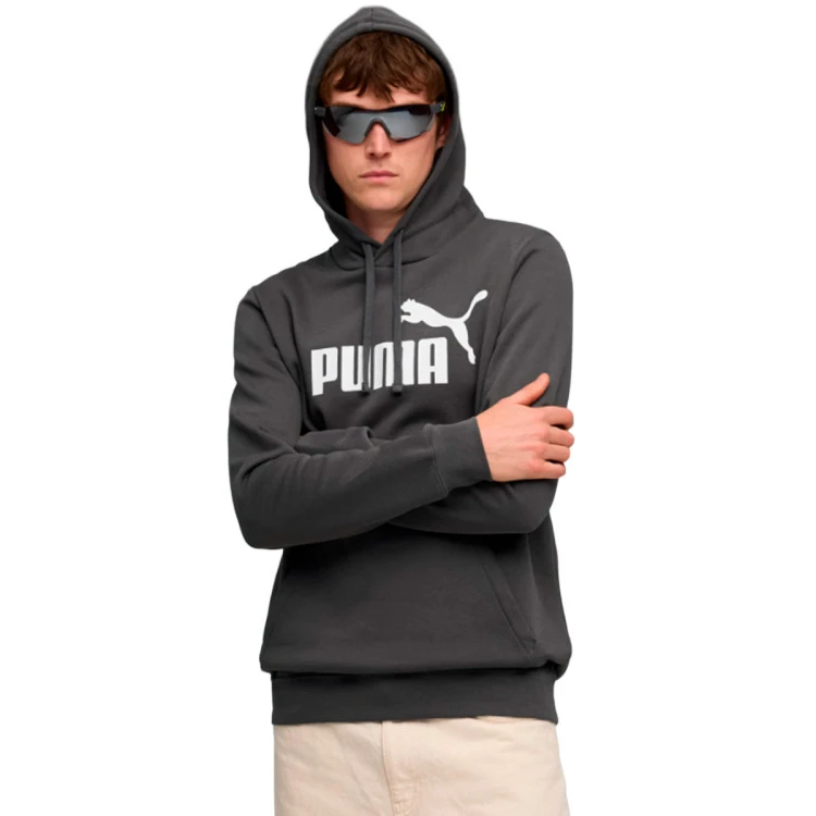 Sudadera Puma Essentials No. 1 Logo