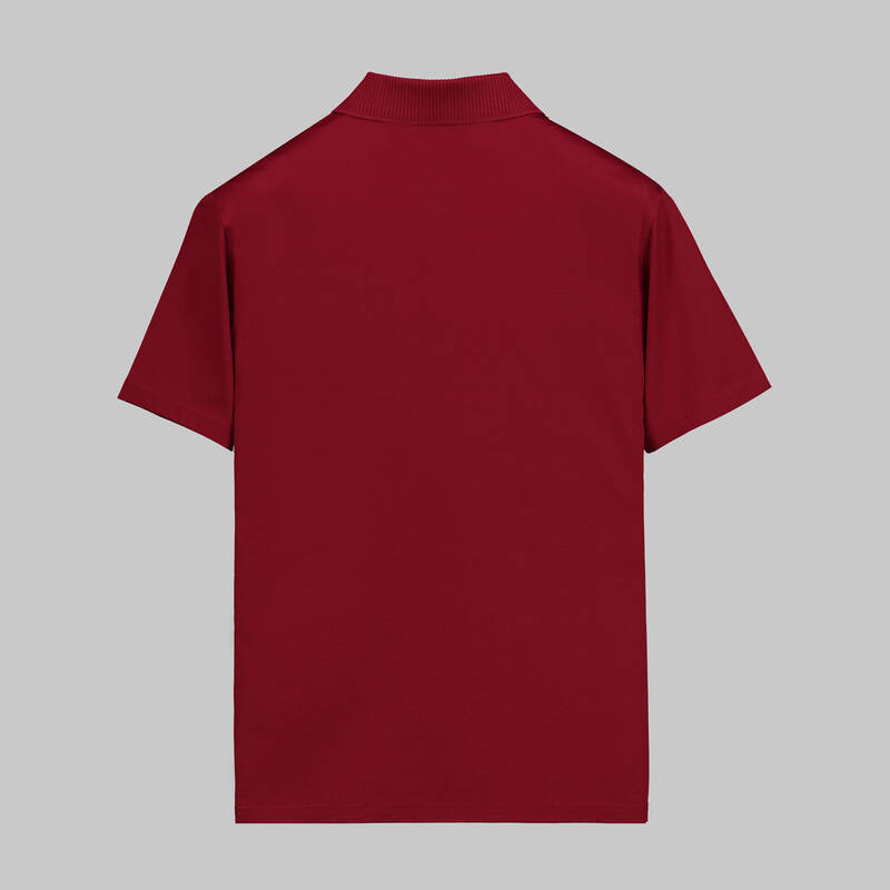 POLO YAKA KISA KOL GRİ TİŞÖRT