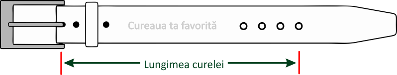 Pasted Image