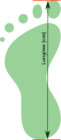 foot size